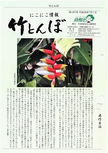 竹とんぼ 197号